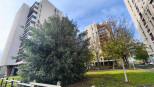 vente Appartement Toulouse