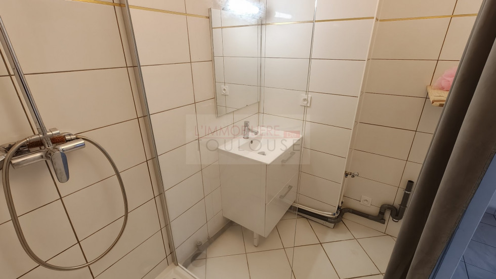 location Appartement Toulouse - Photo 9