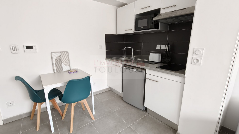 location Appartement Toulouse - Photo 5