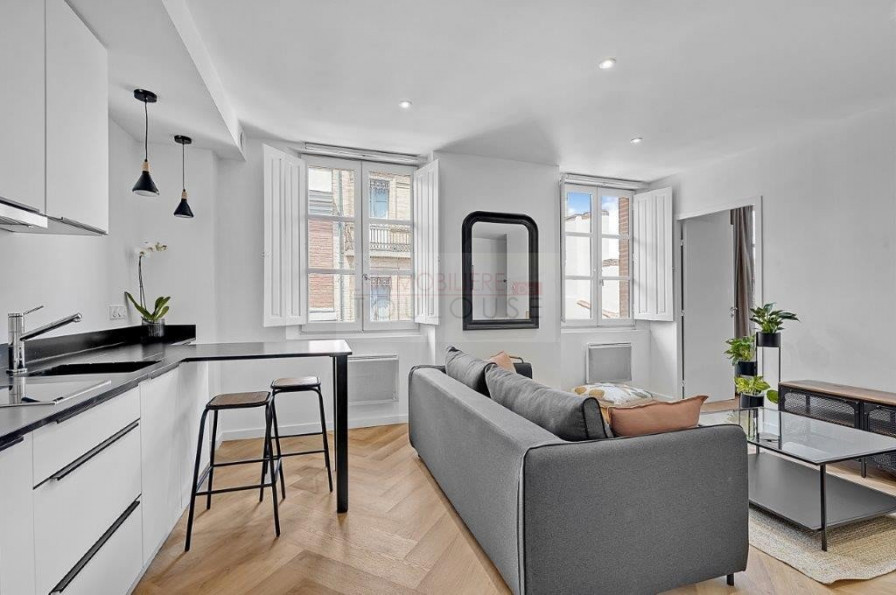 location Appartement Toulouse - Photo 9