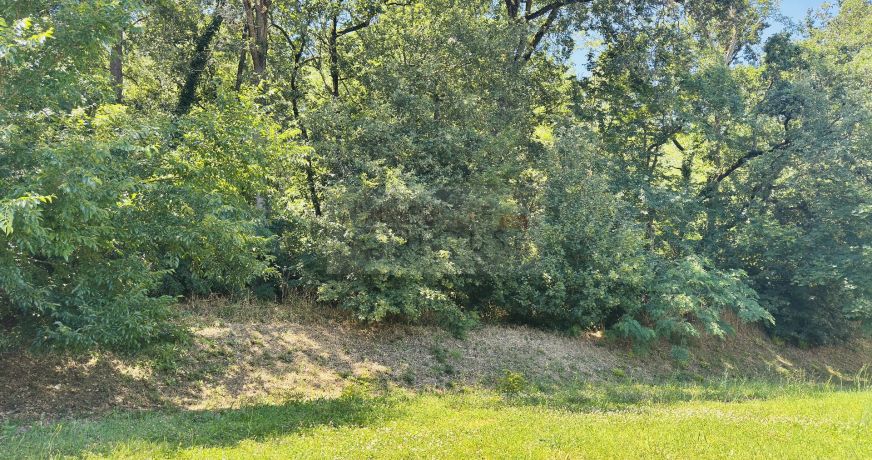 vente Maison Cornebarrieu