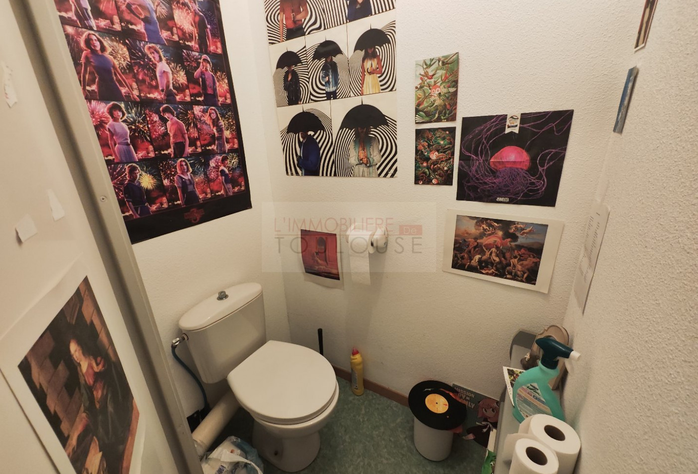 vente Duplex Toulouse - Photo 8