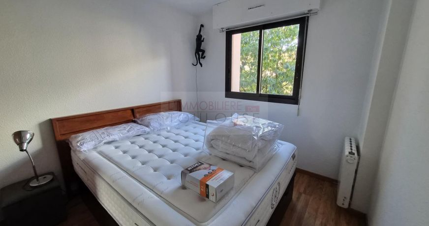 location Appartement Toulouse