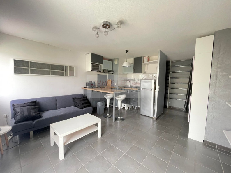 location Appartement Toulouse - Photo 1