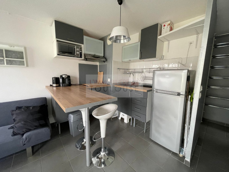 location Appartement Toulouse - Photo 2