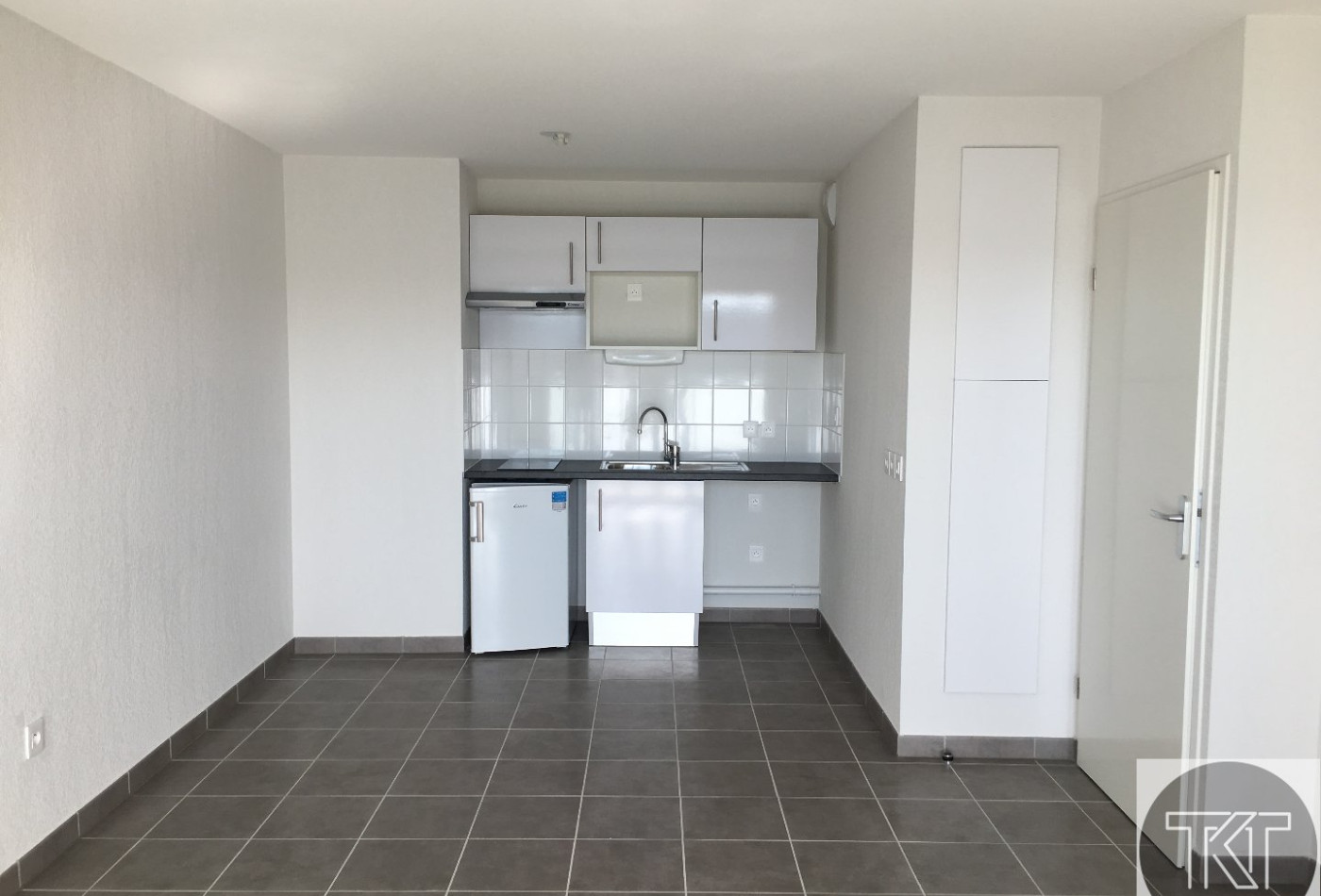 location Appartement Toulouse - Photo 3