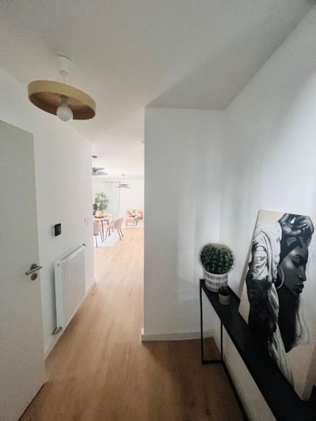 vente Triplex Toulouse - Photo 8