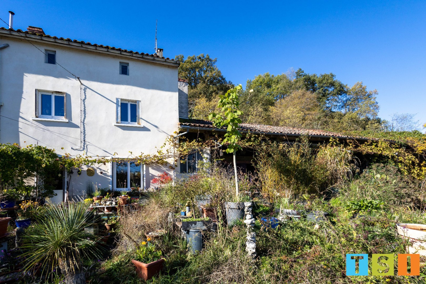 vente Maison Palaminy - Photo 1