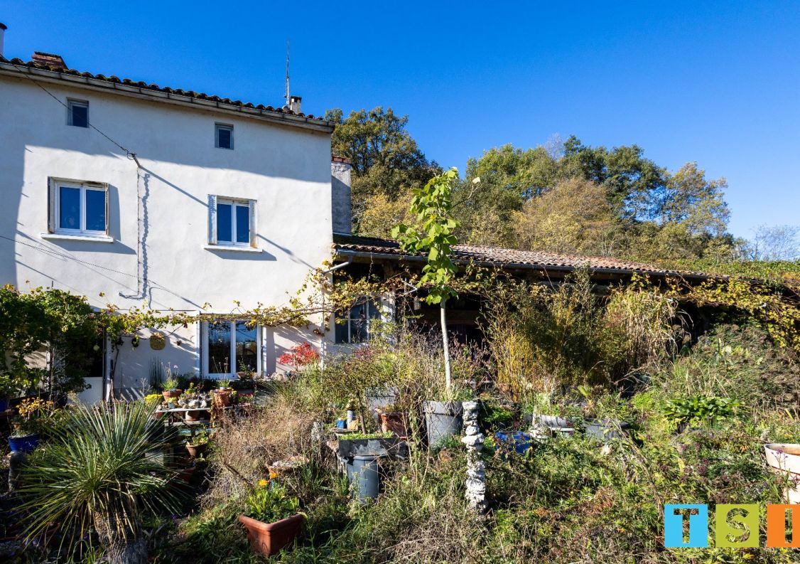 vente Maison Palaminy
