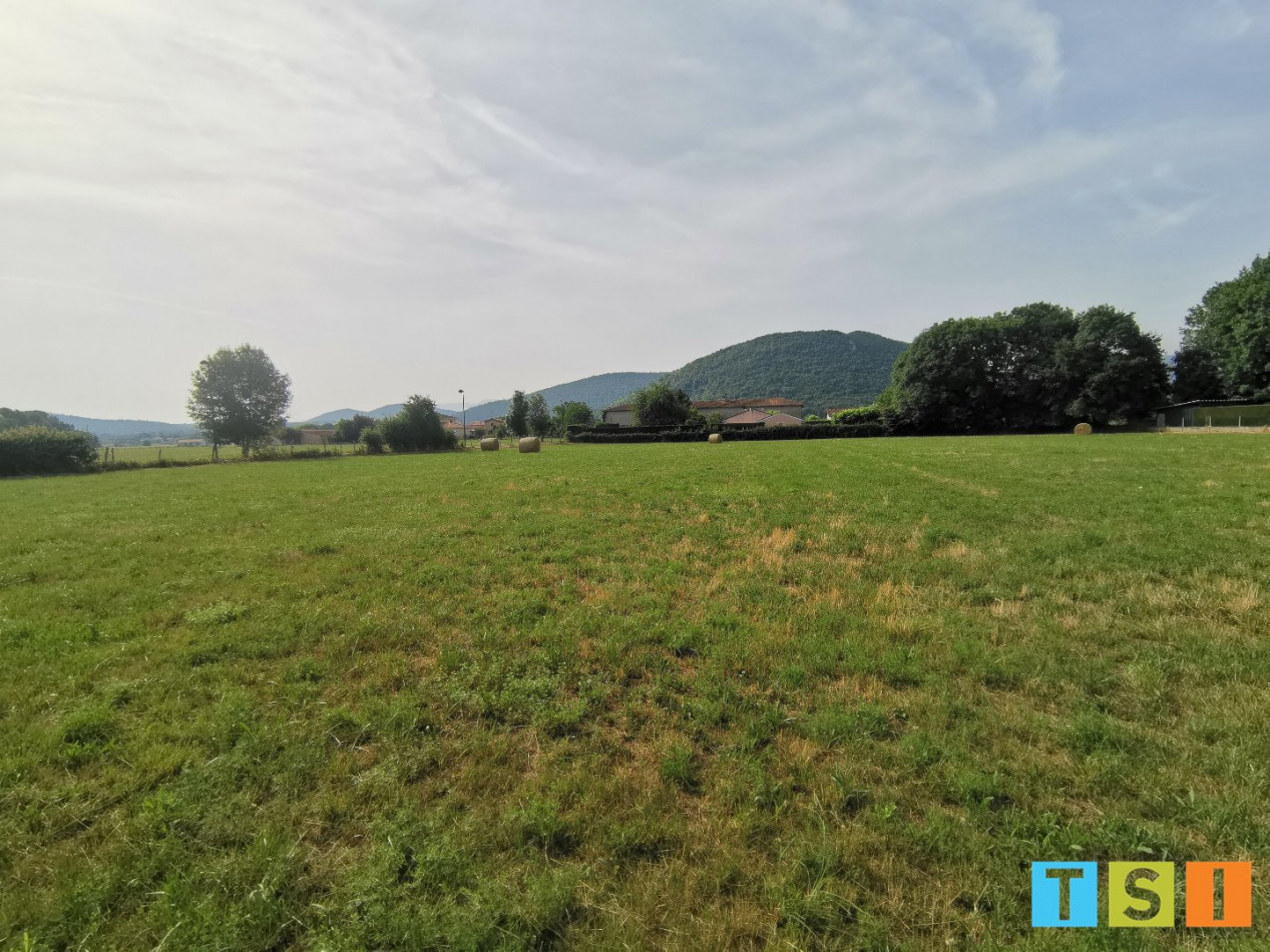 sale Terrain Martres De Riviere - Photo 8