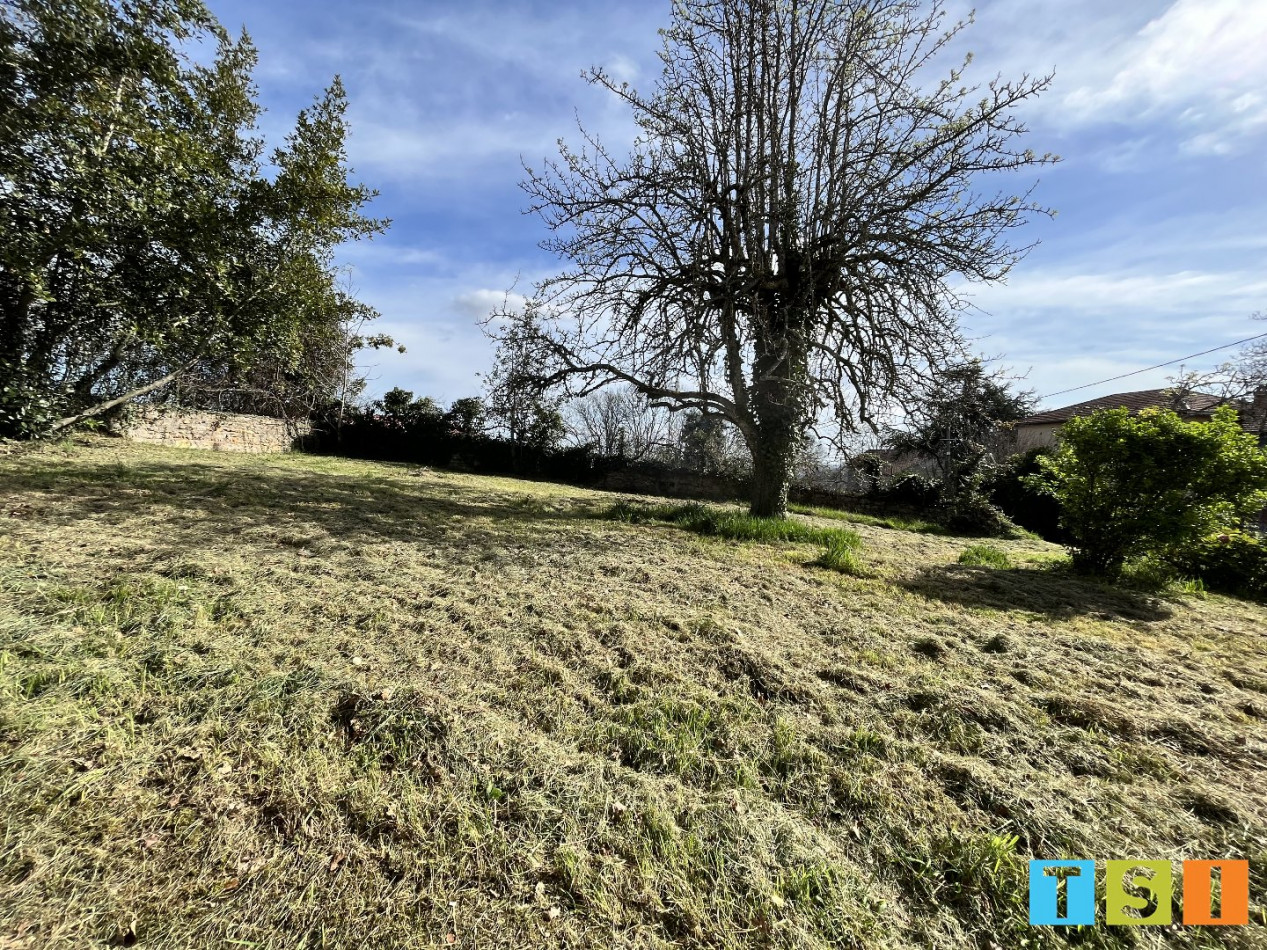 sale Maison Villeneuve Lecussan - Photo 7