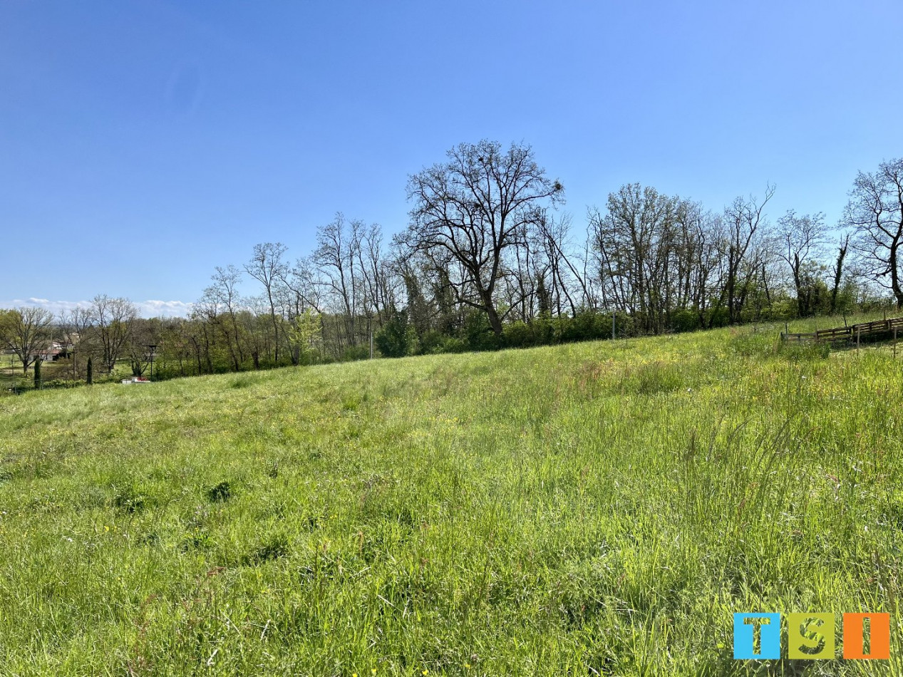 sale Terrain constructible L'isle En Dodon - Photo 3