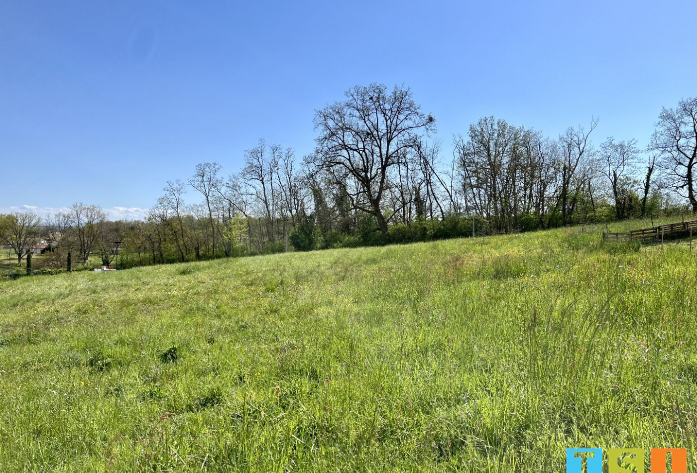 vente Terrain constructible L'isle En Dodon - Photo 3