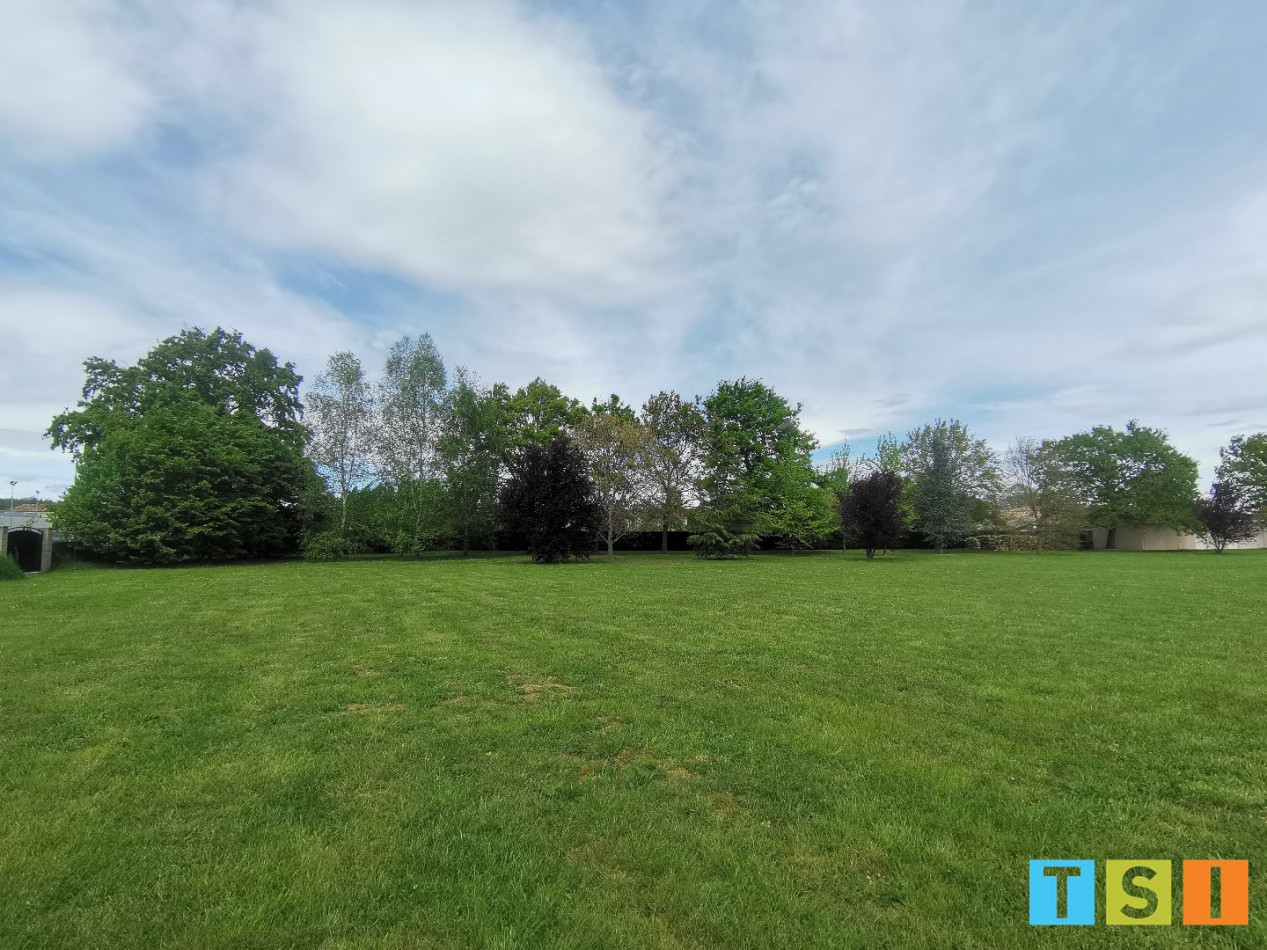 sale Terrain Montrejeau - Photo 3