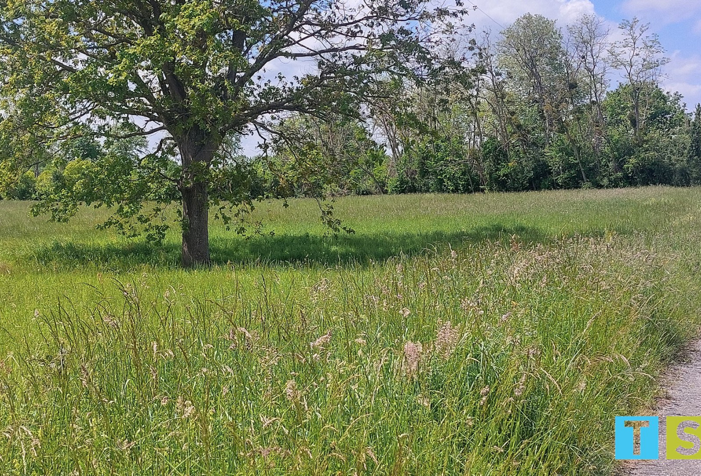 vente Terrain constructible Ciadoux - Photo 4