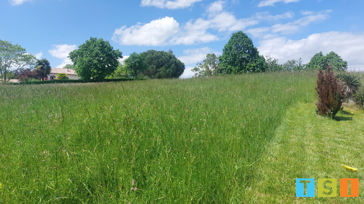 vente Terrain constructible Ciadoux - Photo 8