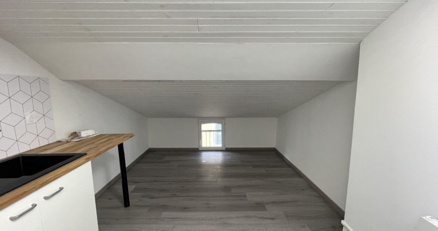 location Appartement rénové Saint Gaudens