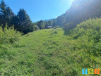vente Terrain constructible Bachos