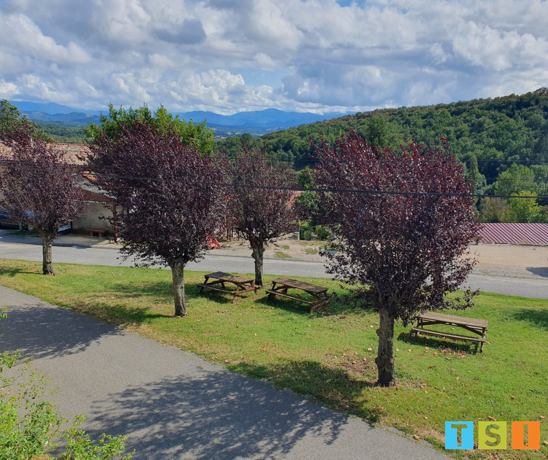 vente Maison Ausseing - Photo 3