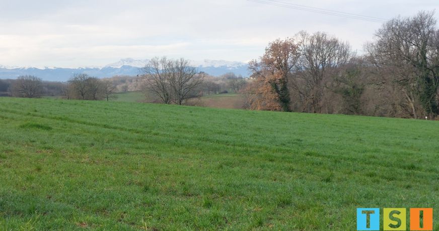 vente Terrain Cassagnabere Tournas