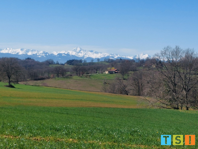 vente Terrain Cassagnabere Tournas - Photo 1