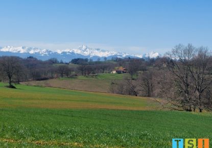 vente Terrain Cassagnabere Tournas