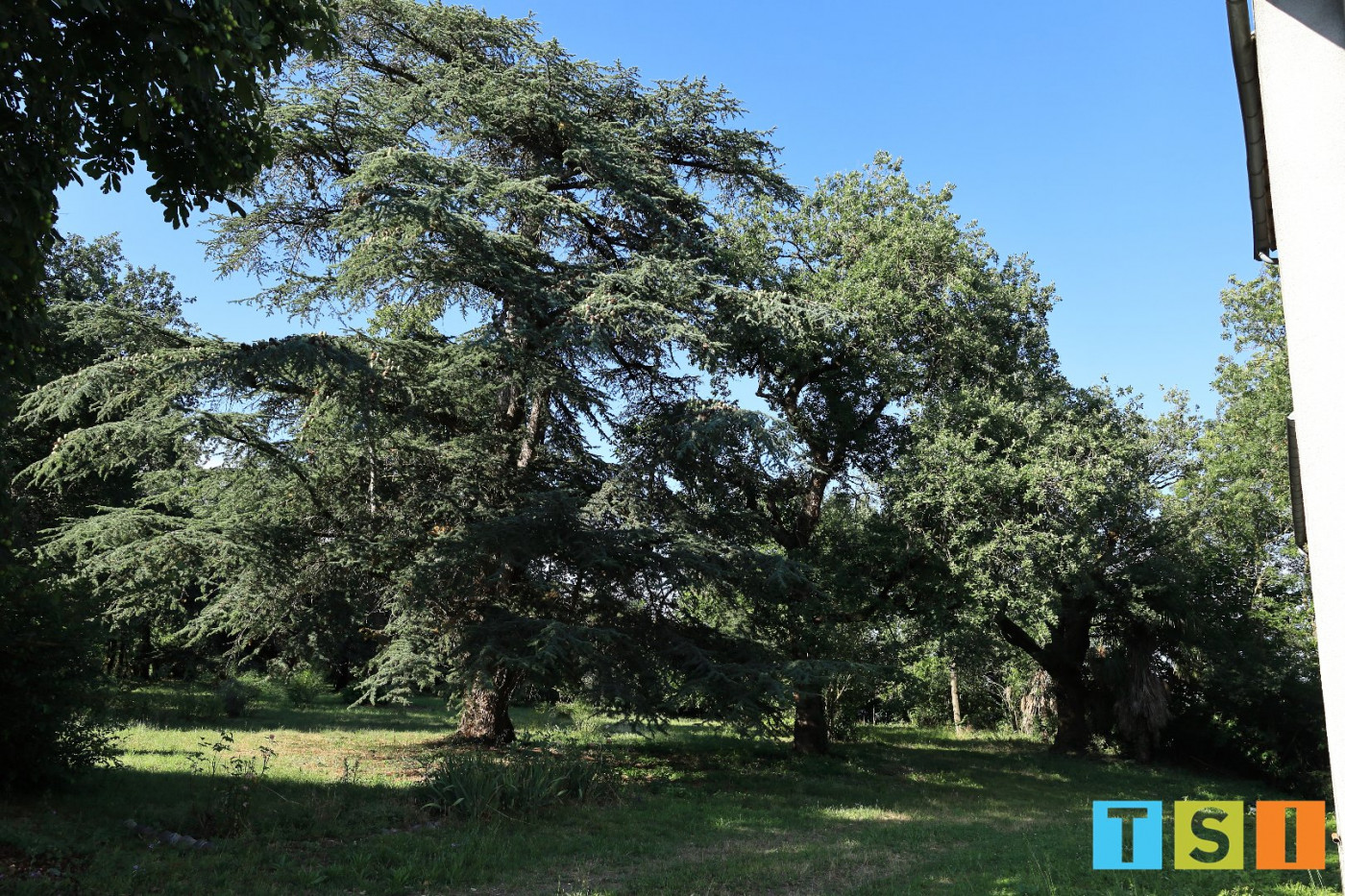 sale Maison toulousaine Salles-sur-garonne - Photo 6