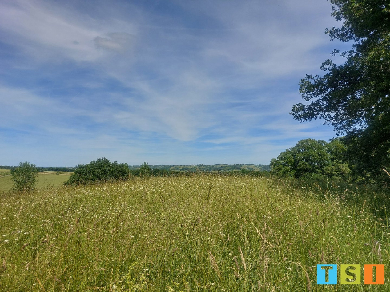 vente Terrain Montesquieu Guittaut - Photo 2