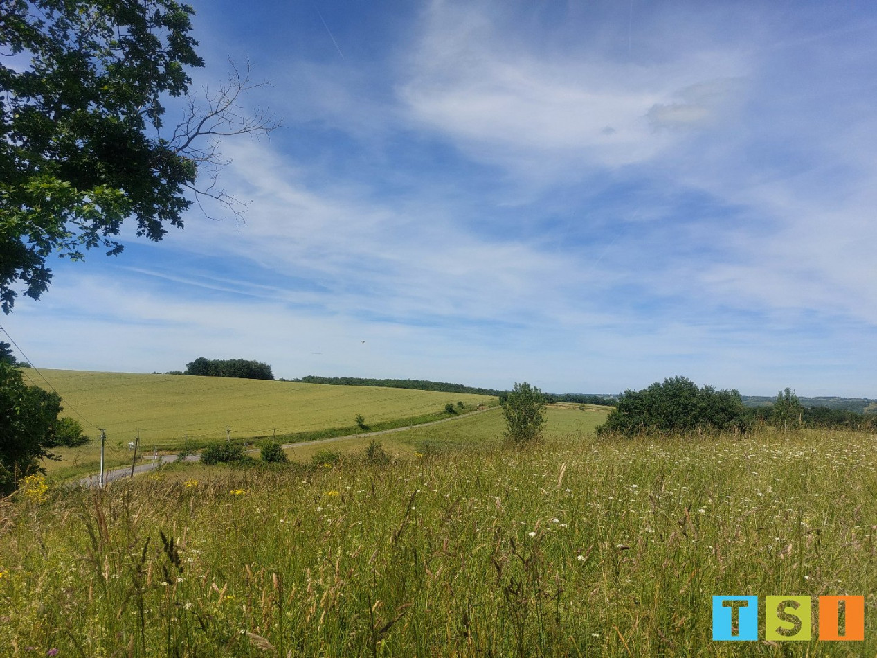 vente Terrain Montesquieu Guittaut - Photo 1