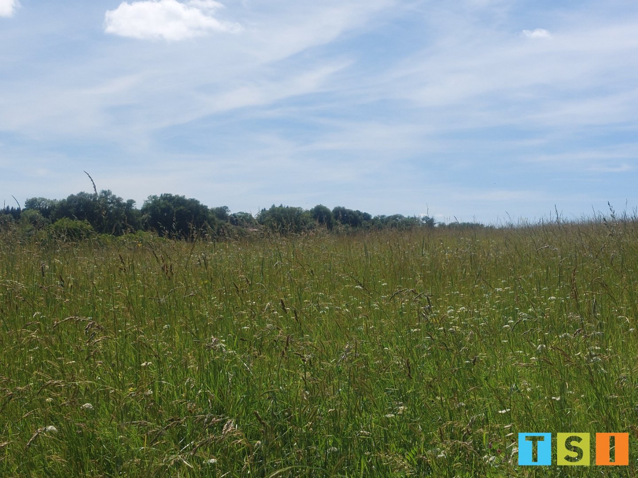 vente Terrain Montesquieu Guittaut - Photo 3