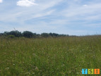 vente Terrain Montesquieu Guittaut
