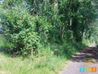 vente Terrain Montesquieu Guittaut