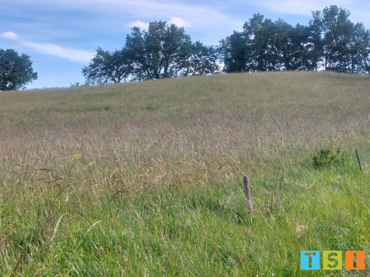 vente Terrain Montesquieu Guittaut - Photo 6