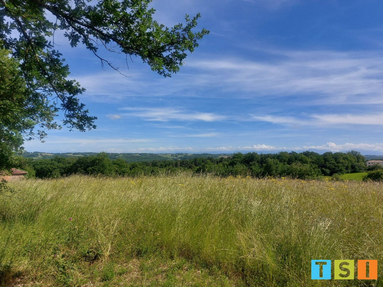 sale Terrain Montesquieu Guittaut - Photo 2