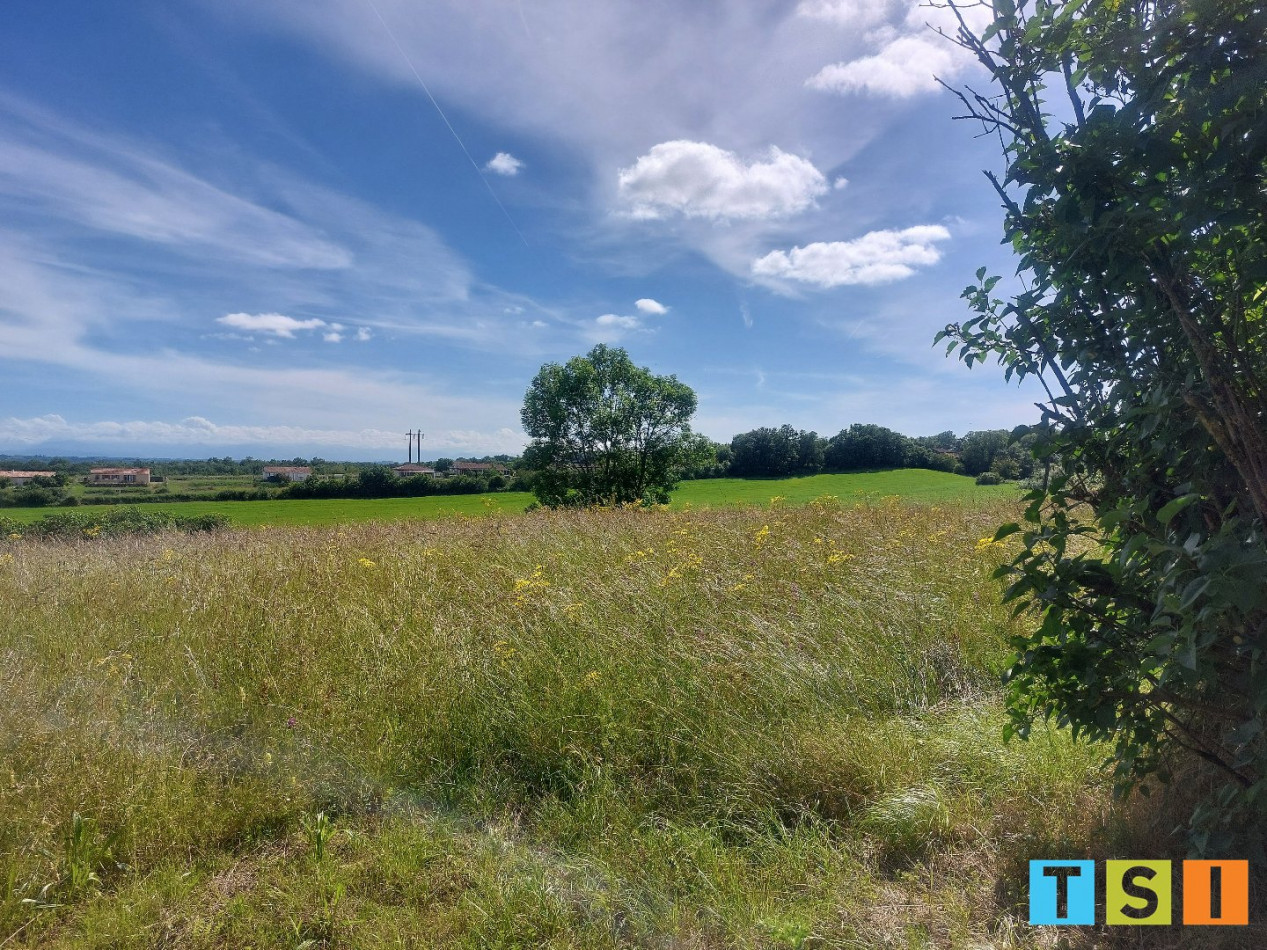 sale Terrain Montesquieu Guittaut - Photo 3