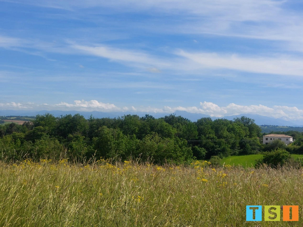 sale Terrain Montesquieu Guittaut - Photo 6