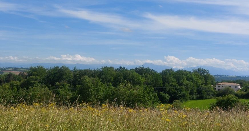 vente Terrain Montesquieu Guittaut