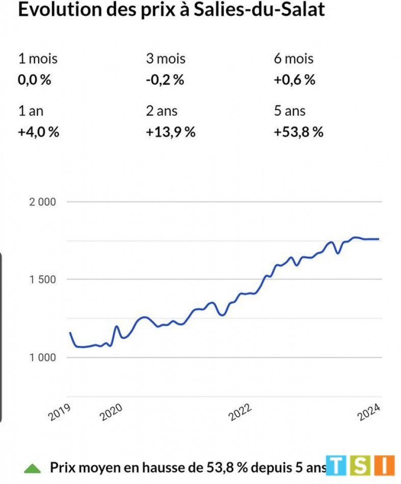 vente Appartement Mazeres Sur Salat - Photo 2