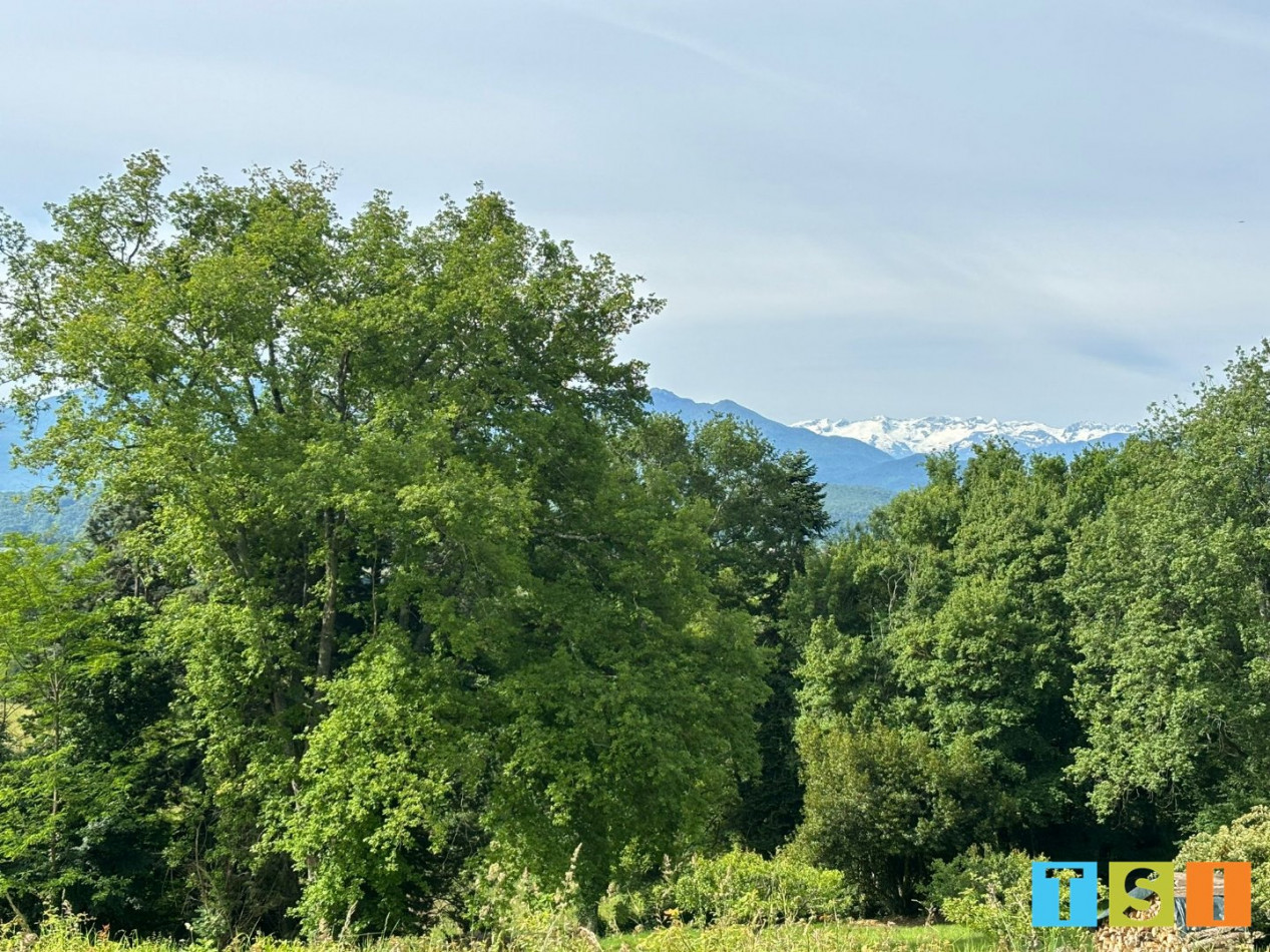 sale Terrain Landorthe - Photo 2