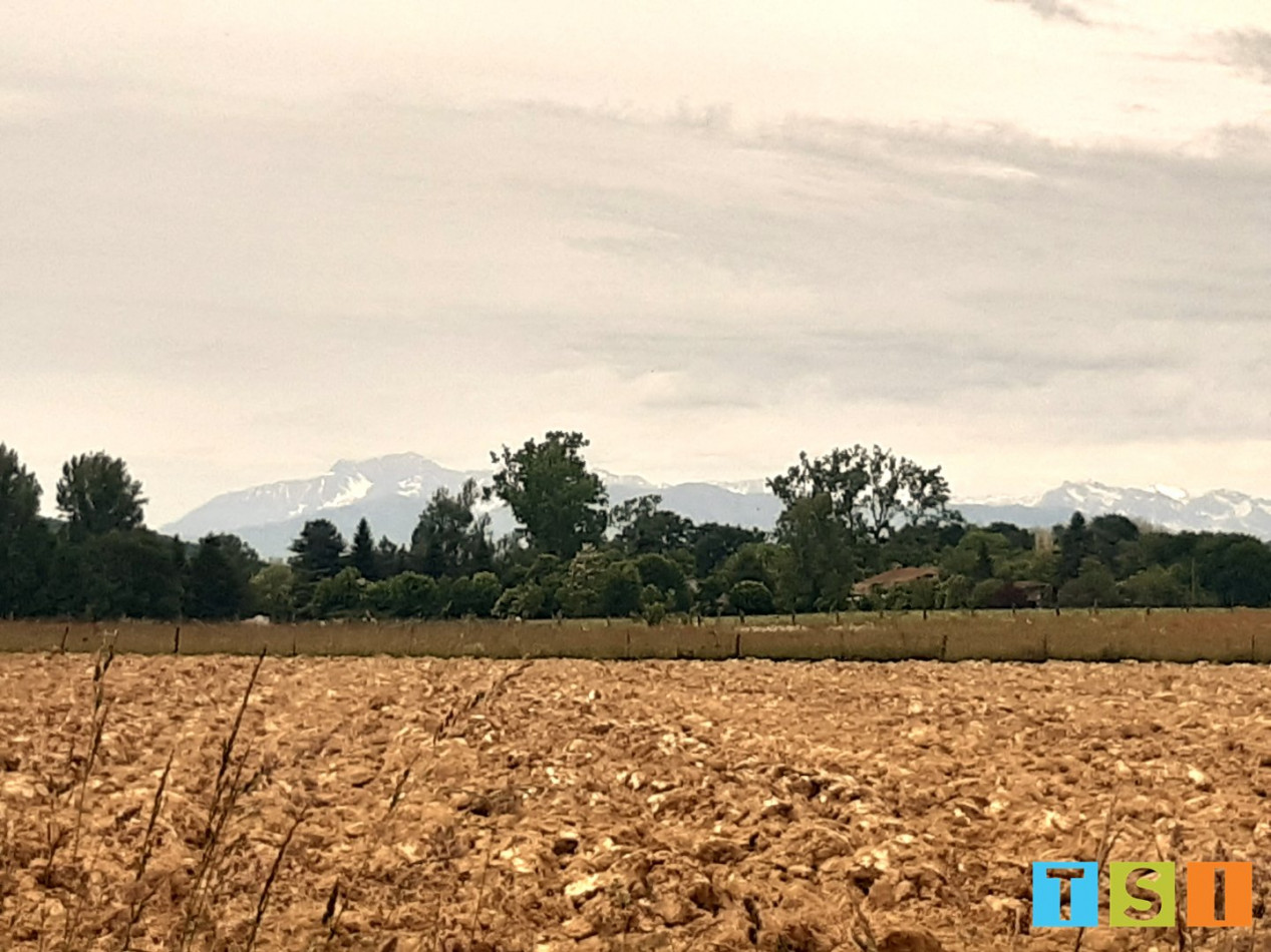 sale Terrain constructible Monleon Magnoac - Photo 3