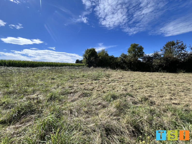 vente Terrain constructible Boudrac - Photo 2