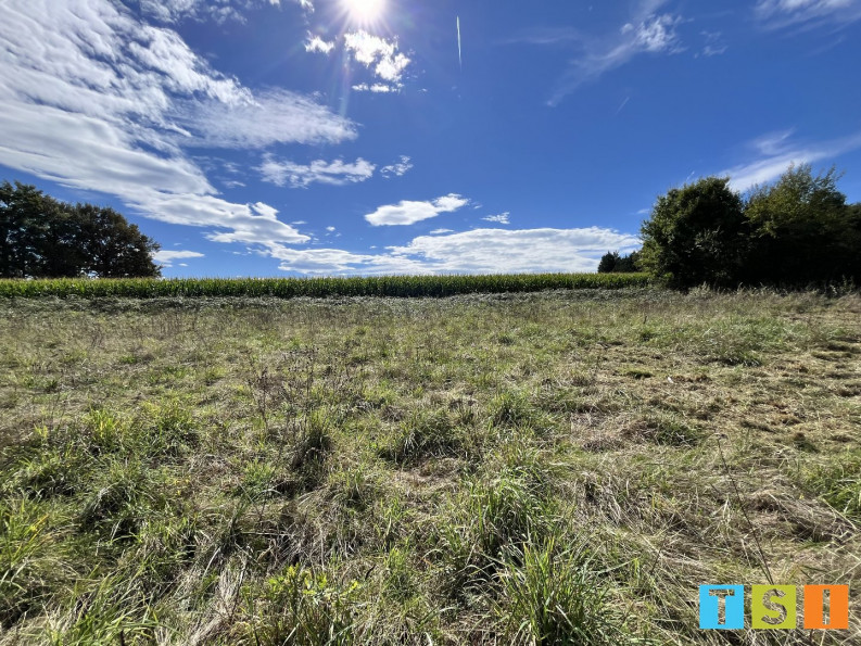 vente Terrain constructible Boudrac - Photo 3