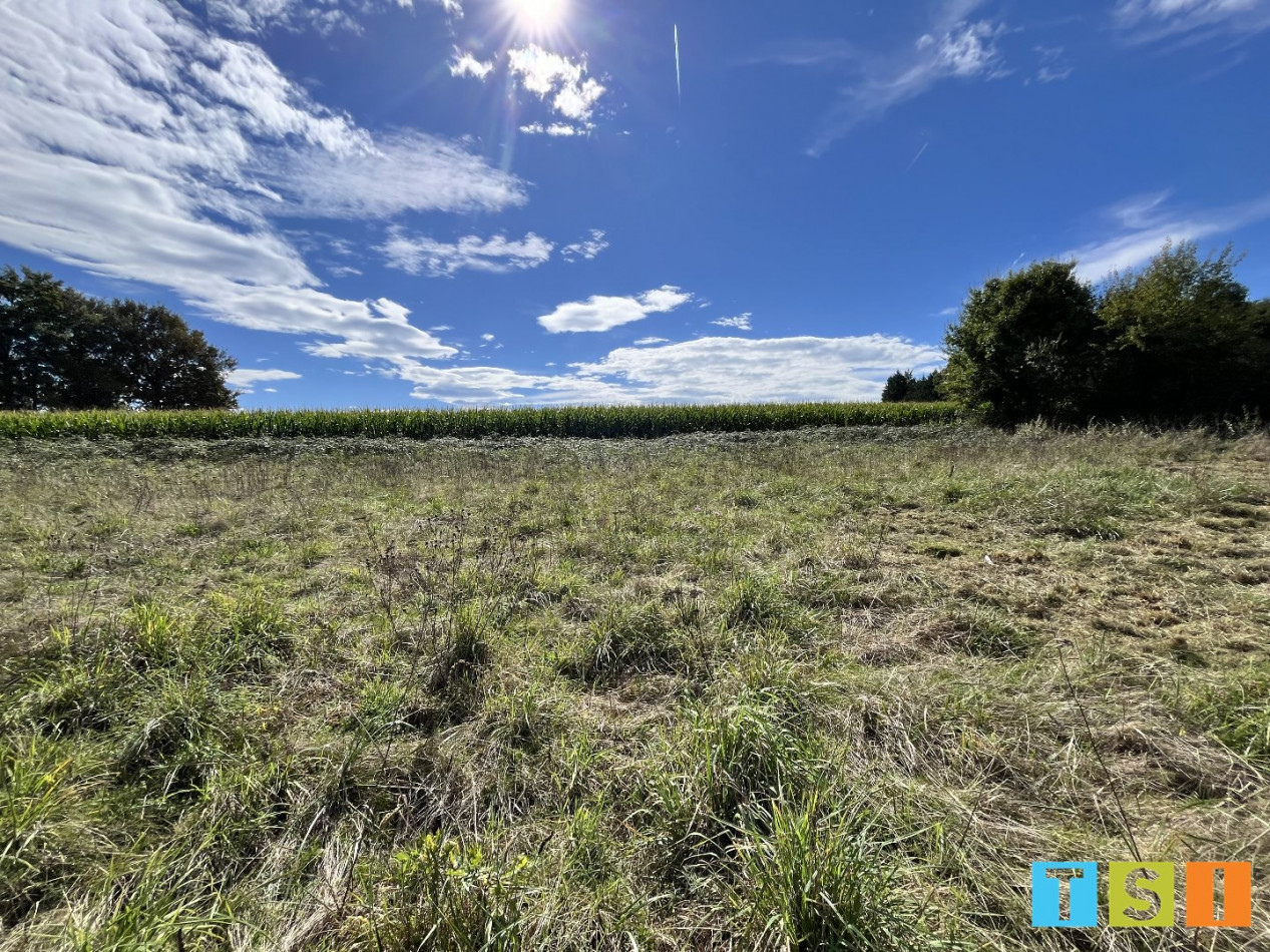 vente Terrain constructible Boudrac - Photo 3