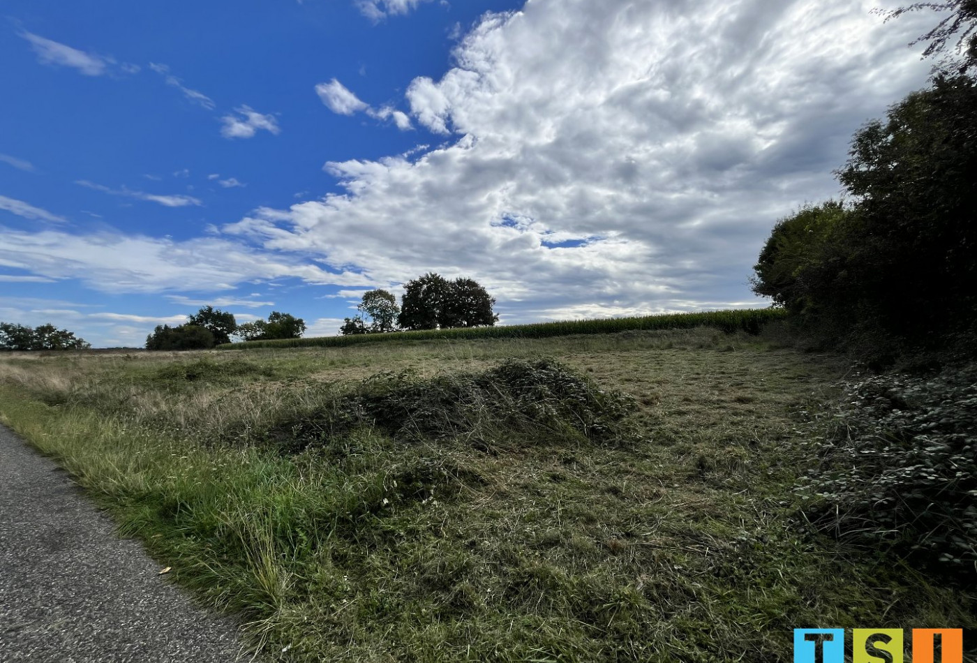 vente Terrain constructible Boudrac - Photo 4