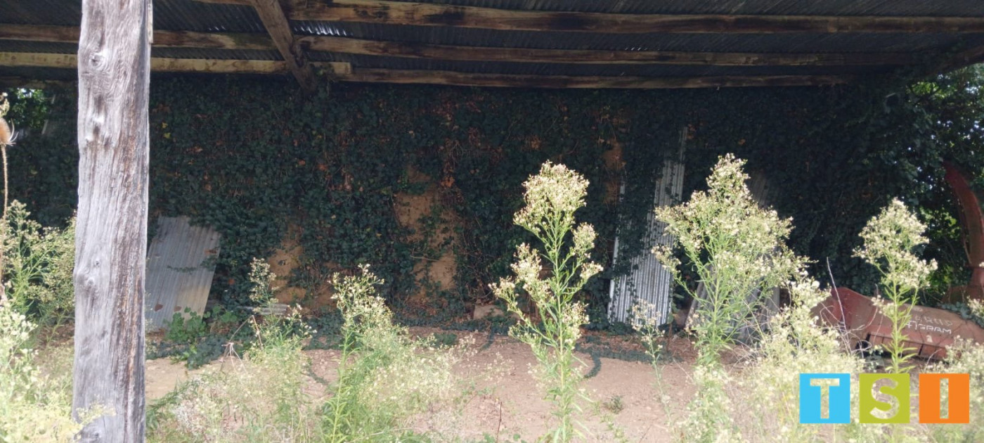 sale Terrain Montegut Bourjac - Photo 3