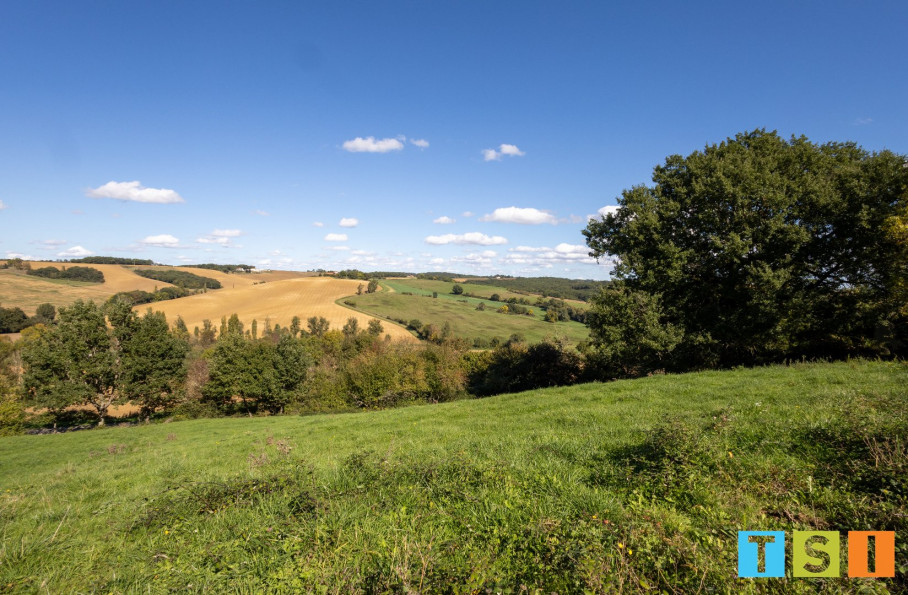 vente Terrain Montegut Bourjac - Photo 7