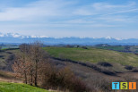vente Maison de caractère Carbonne