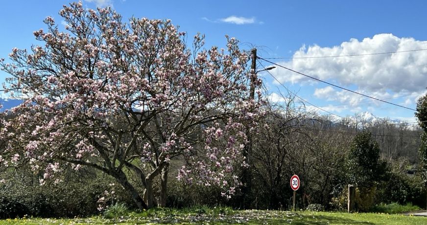 vente Terrain Loudet