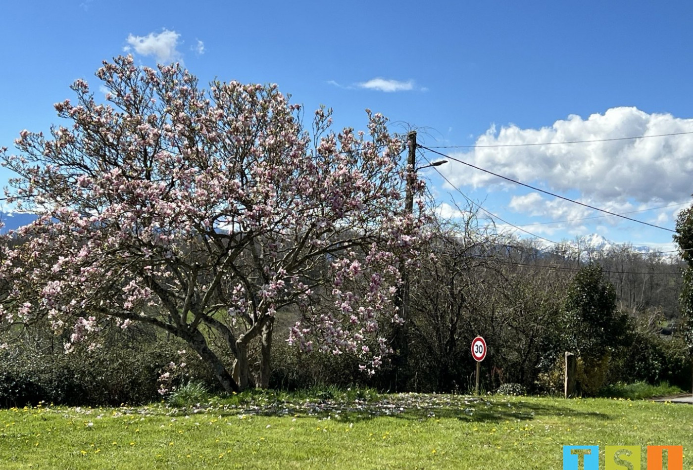 vente Terrain Loudet - Photo 3