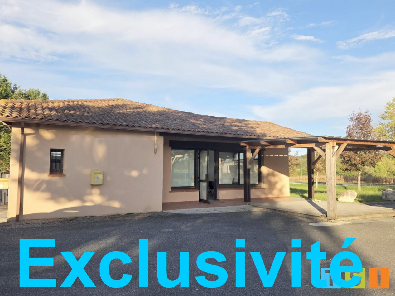 sale Local commercial Peguilhan - Photo 1